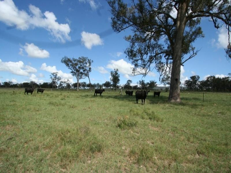 3 Roos Road, Tenterfield NSW 2372