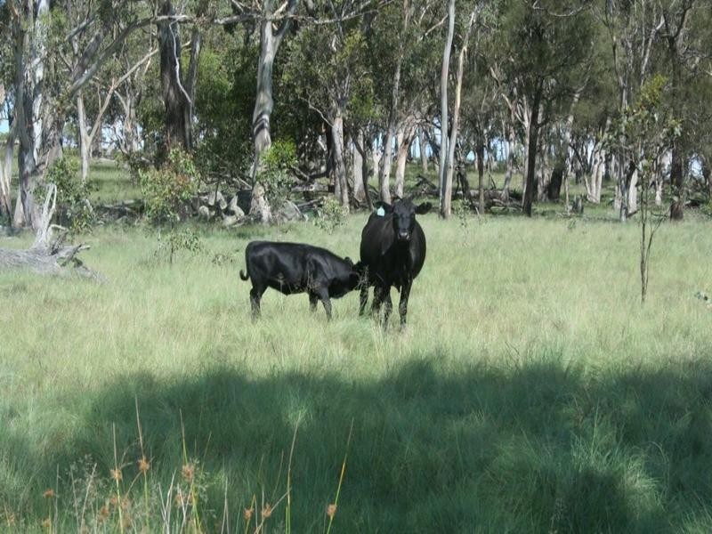 3 Roos Road, Tenterfield NSW 2372