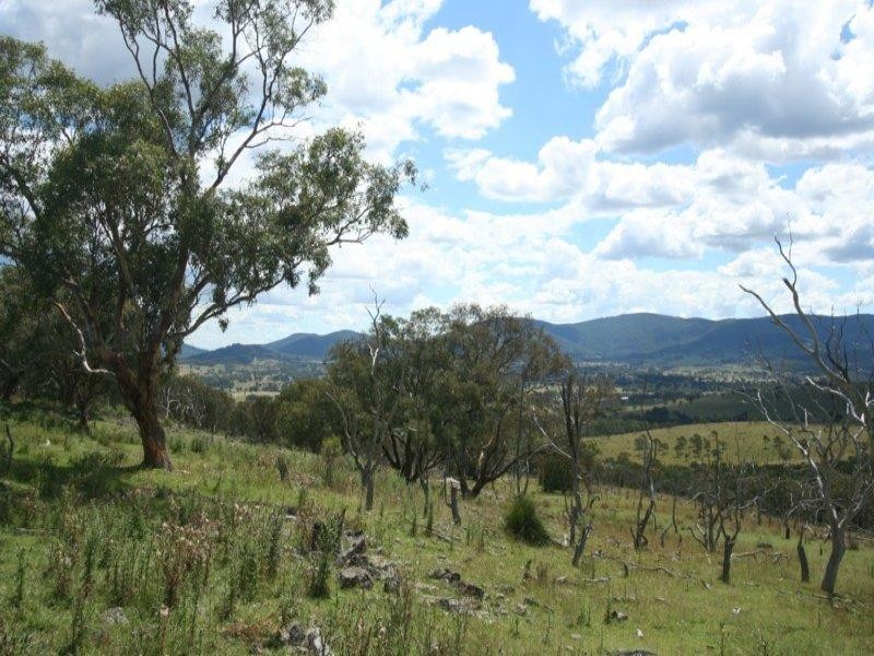 Lot 3 Tarban Road, Tenterfield NSW 2372