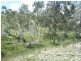 Lot 4 Tarban Road, Tenterfield NSW 2372