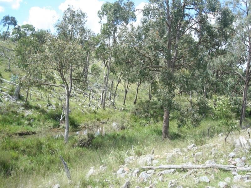 Lot 4 Tarban Road, Tenterfield NSW 2372