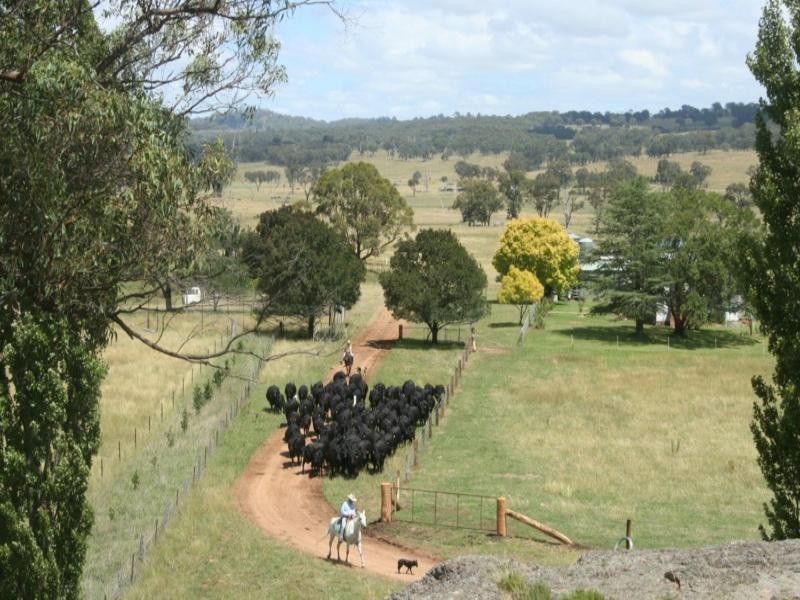 Rutherglen Wellington Road, Glen Innes NSW 2370