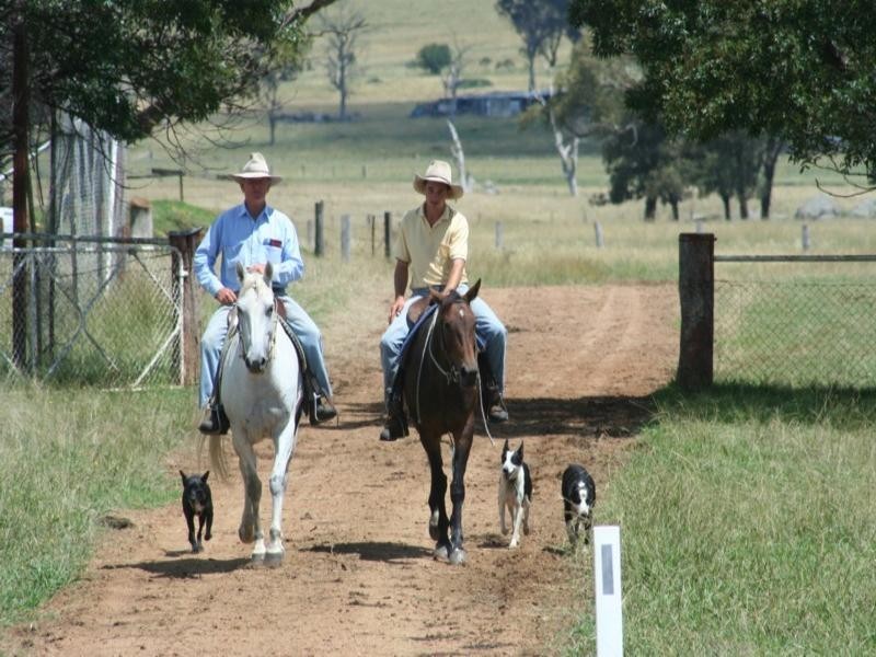 Rutherglen Wellington Road, Glen Innes NSW 2370