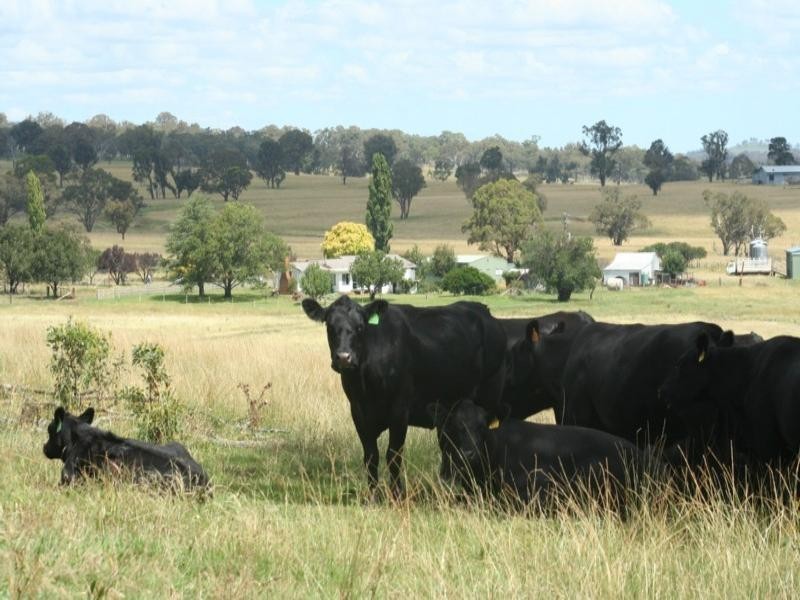 Rutherglen Wellington Road, Glen Innes NSW 2370