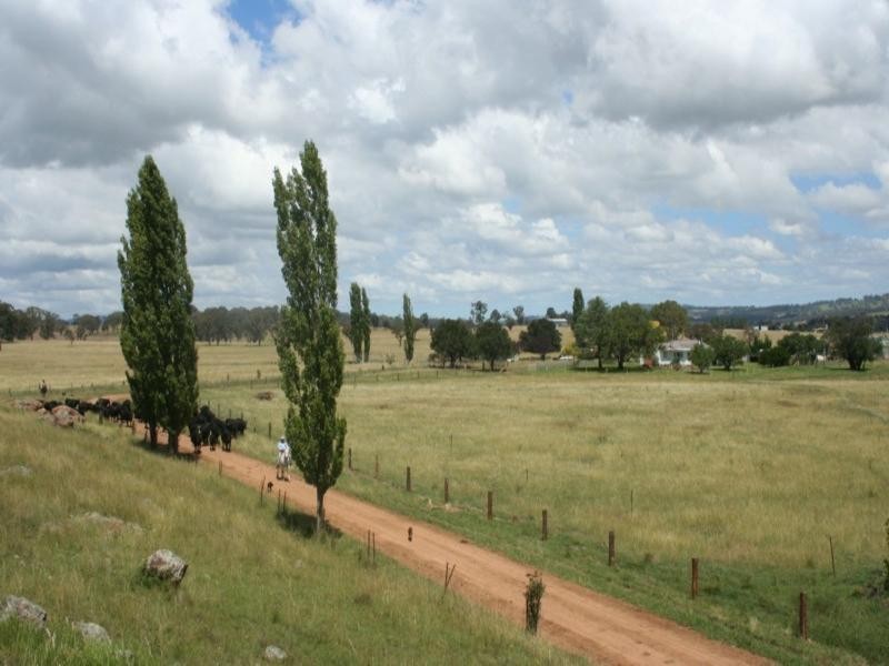 Rutherglen Wellington Road, Glen Innes NSW 2370