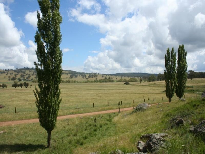 Rutherglen Wellington Road, Glen Innes NSW 2370