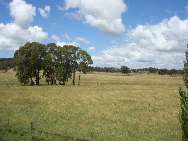 Rutherglen Wellington Road, Glen Innes NSW 2370
