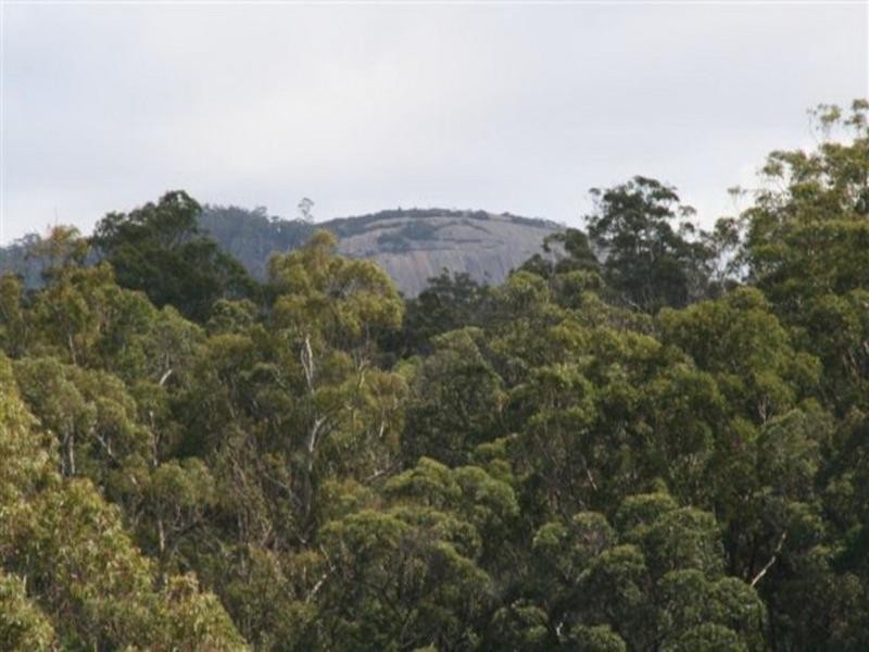 Park Retreat Mt Lindesay Road, Tenterfield NSW 2372