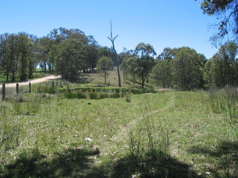 800 Timbarra Road, Tenterfield NSW 2372