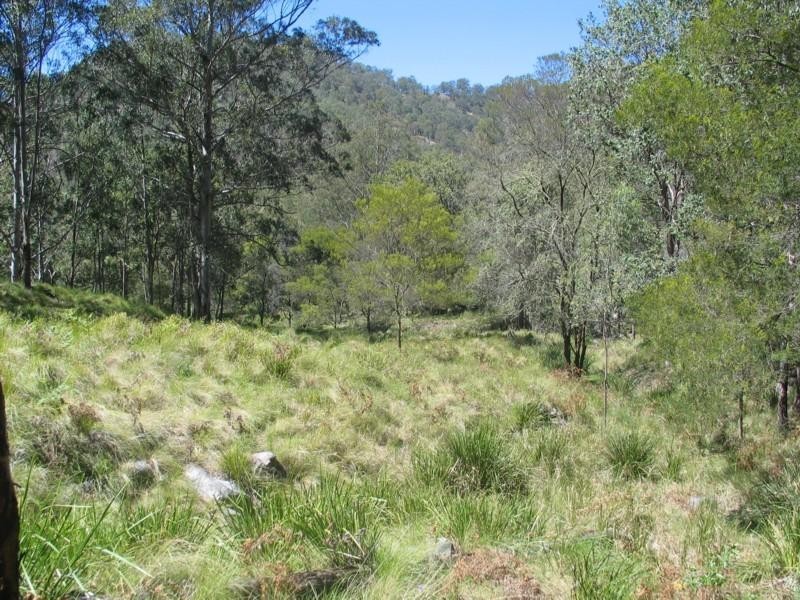 800 Timbarra Road, Tenterfield NSW 2372