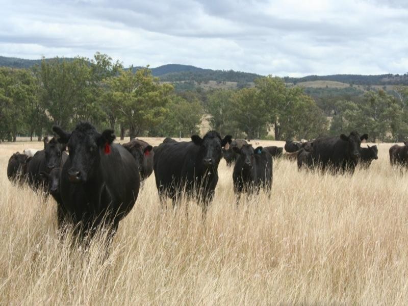 534 Uandi Road, Inglewood QLD 4387