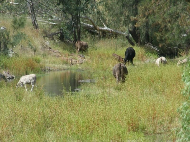 534 Uandi Road, Inglewood QLD 4387