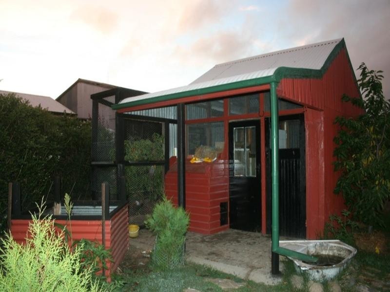 50 Wood Street, Tenterfield NSW 2372