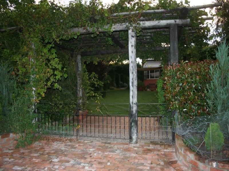 50 Wood Street, Tenterfield NSW 2372