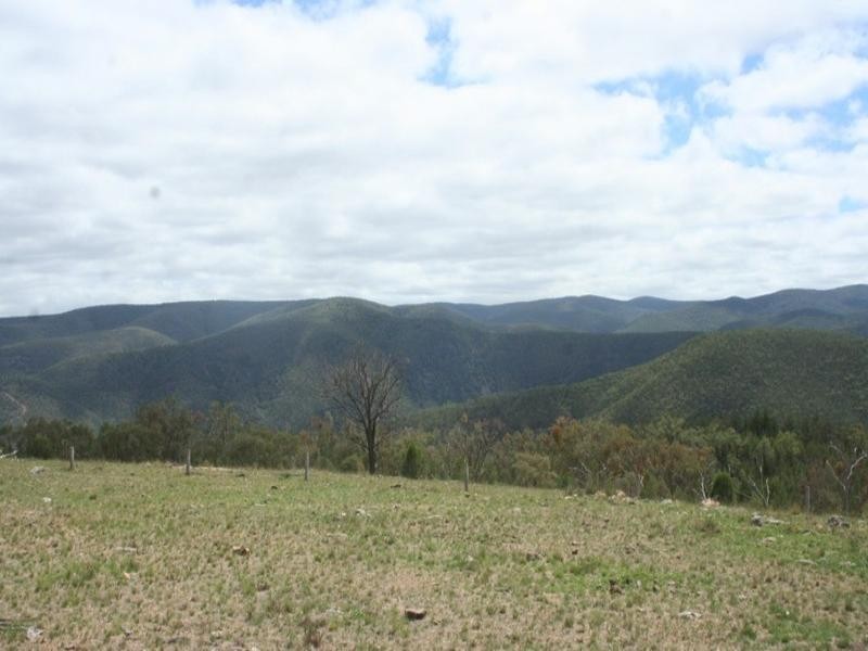 Lot 19 Mountain Creek Road, Tenterfield NSW 2372