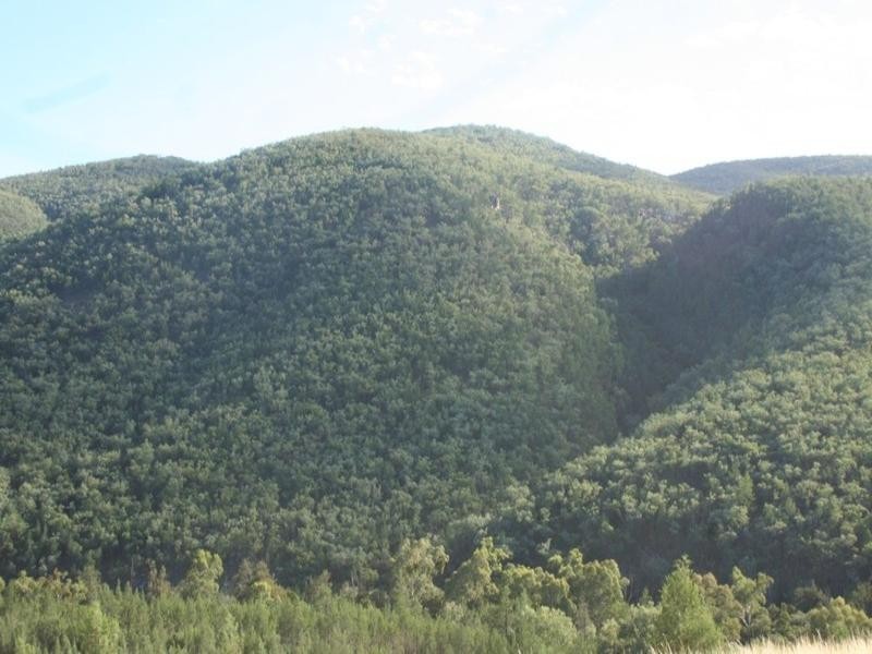 Lot 19 Mountain Creek Road, Tenterfield NSW 2372