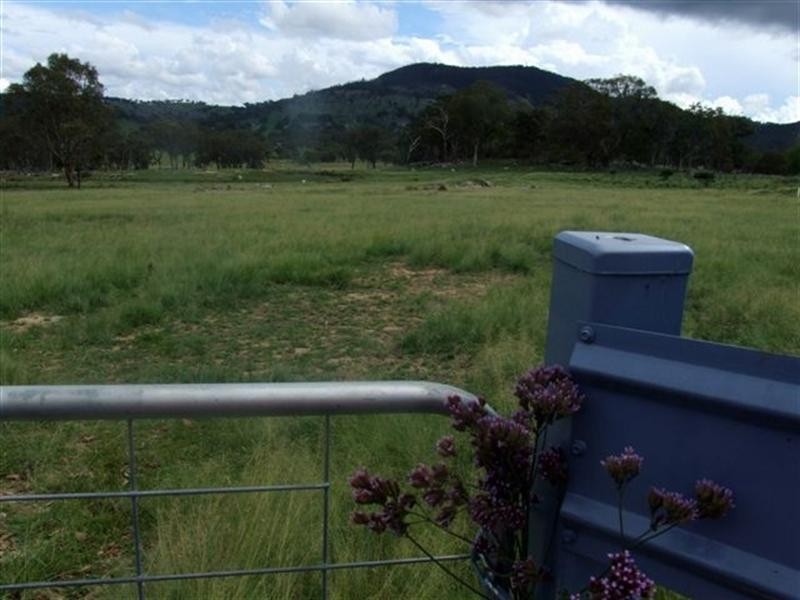 1 Holleys Road, Tenterfield NSW 2372