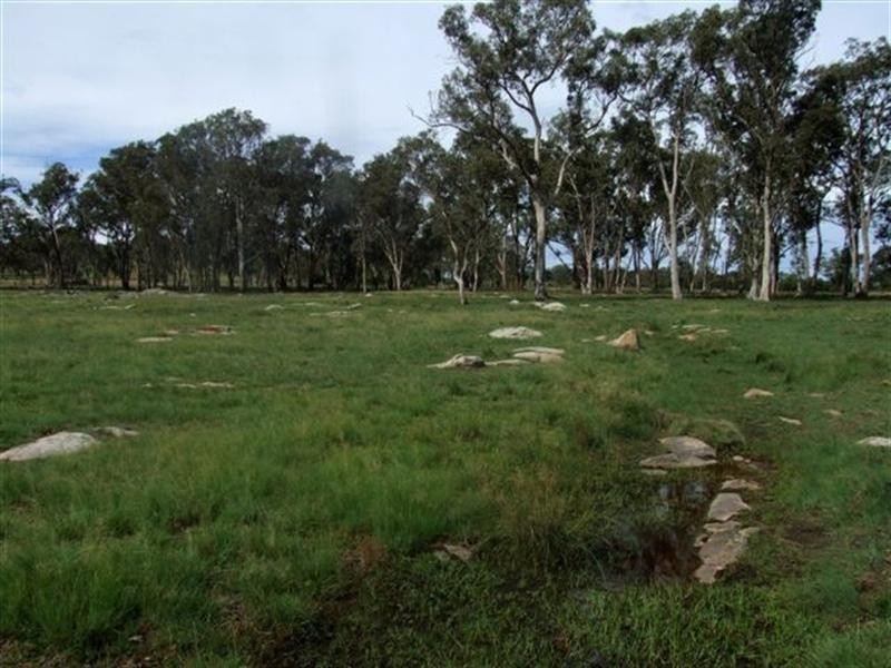 1 Holleys Road, Tenterfield NSW 2372