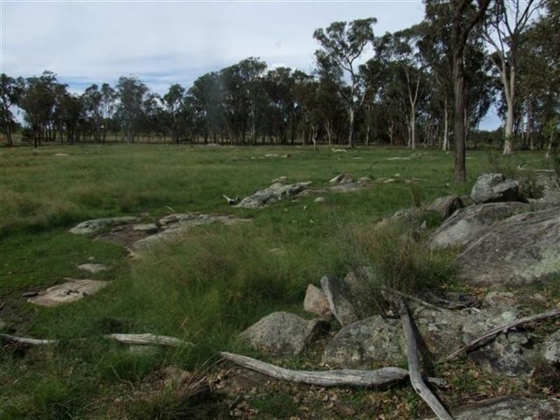 1 Holleys Road, Tenterfield NSW 2372