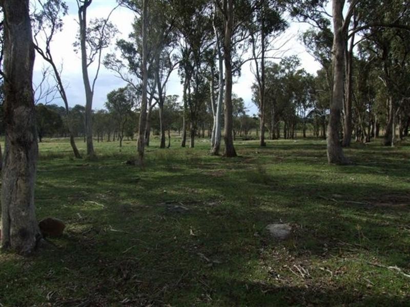 1 Holleys Road, Tenterfield NSW 2372