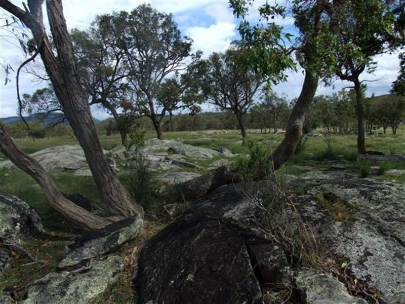 1 Holleys Road, Tenterfield NSW 2372