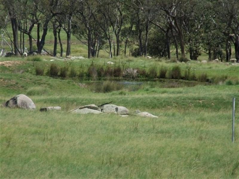 1 Holleys Road, Tenterfield NSW 2372