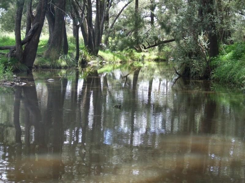Lot 47 Bruxner Highway, Tenterfield NSW 2372