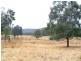 Riverbend Wellington Lookout Road, Tenterfield NSW 2372