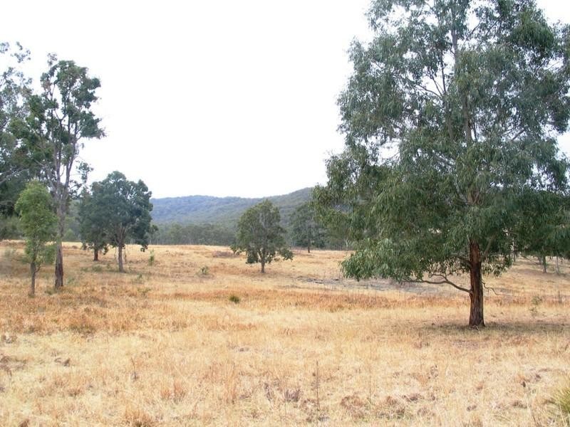 Riverbend Wellington Lookout Road, Tenterfield NSW 2372