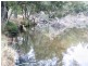 Riverbend Wellington Lookout Road, Tenterfield NSW 2372