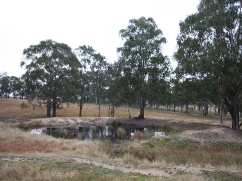 Lot 1 Snake Valley Road, Tenterfield NSW 2372