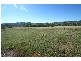 Tenterfield NSW 2372