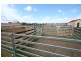 Bonshaw NSW 2361