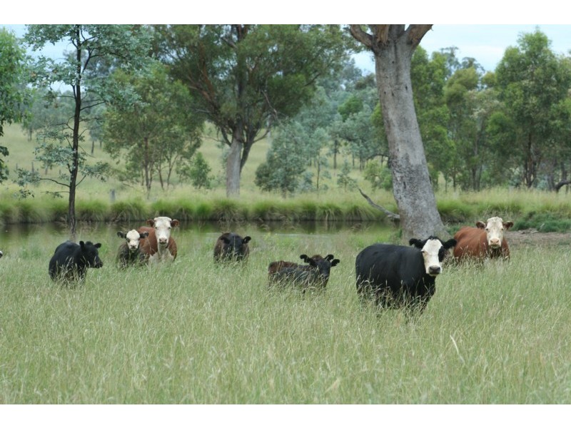 Bonshaw NSW 2361