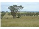 Bonshaw NSW 2361