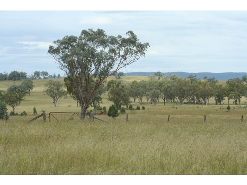 Bonshaw NSW 2361