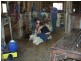 Bonshaw NSW 2361