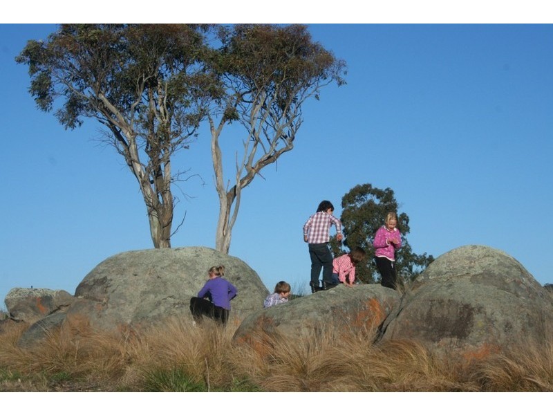 . Cnr Aldershot and East, Tenterfield NSW 2372