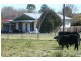 138 Molesworth Street, Tenterfield NSW 2372