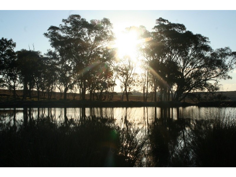 110 Bryans Gap Road, Tenterfield NSW 2372