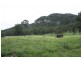 Tenterfield NSW 2372