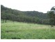 Tenterfield NSW 2372