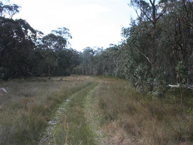 3203 Mount Lindsay Road, Tenterfield NSW 2372