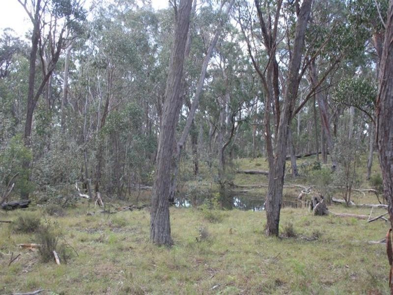 3203 Mount Lindsay Road, Tenterfield NSW 2372