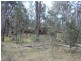 3203 Mount Lindsay Road, Tenterfield NSW 2372