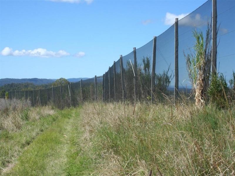 1255 Bulmers Road, Hogarth Range NSW 2469