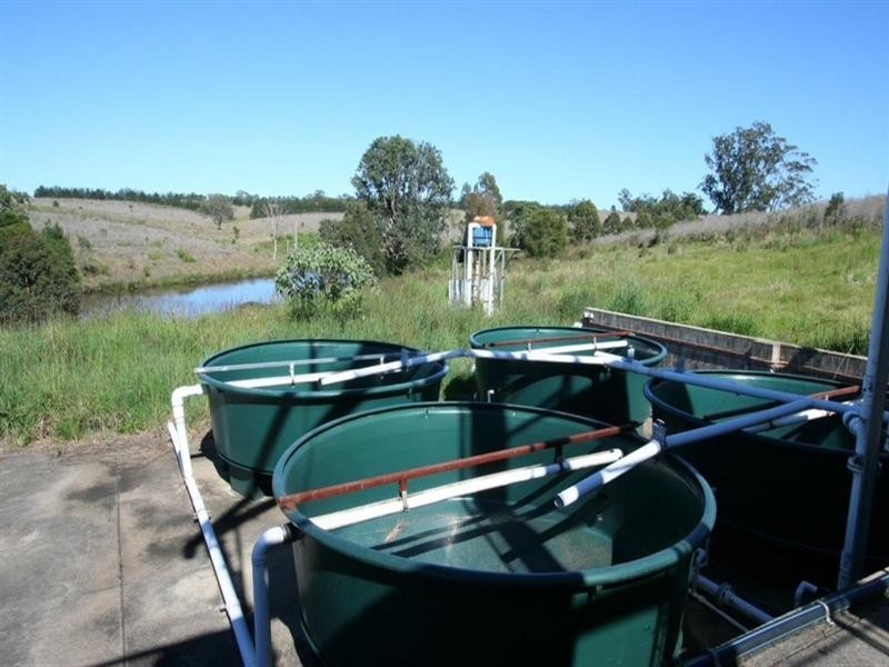 1255 Bulmers Road, Hogarth Range NSW 2469