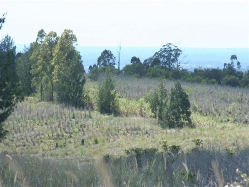 1255 Bulmers Road, Hogarth Range NSW 2469