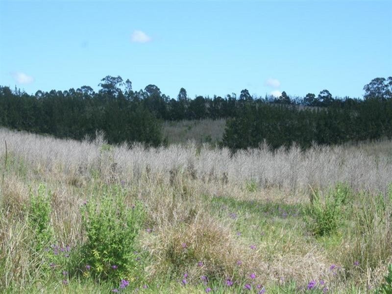 1255 Bulmers Road, Hogarth Range NSW 2469