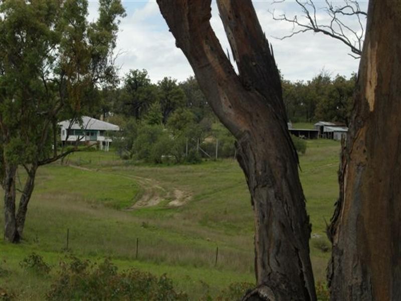 Kaloola Bruxner Highway, Tenterfield NSW 2372